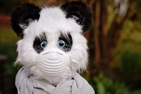 NoxWin Casino Support